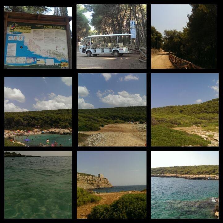 Salento - Casa Vacanza Di Diana Carcagni Nardò 外观 照片